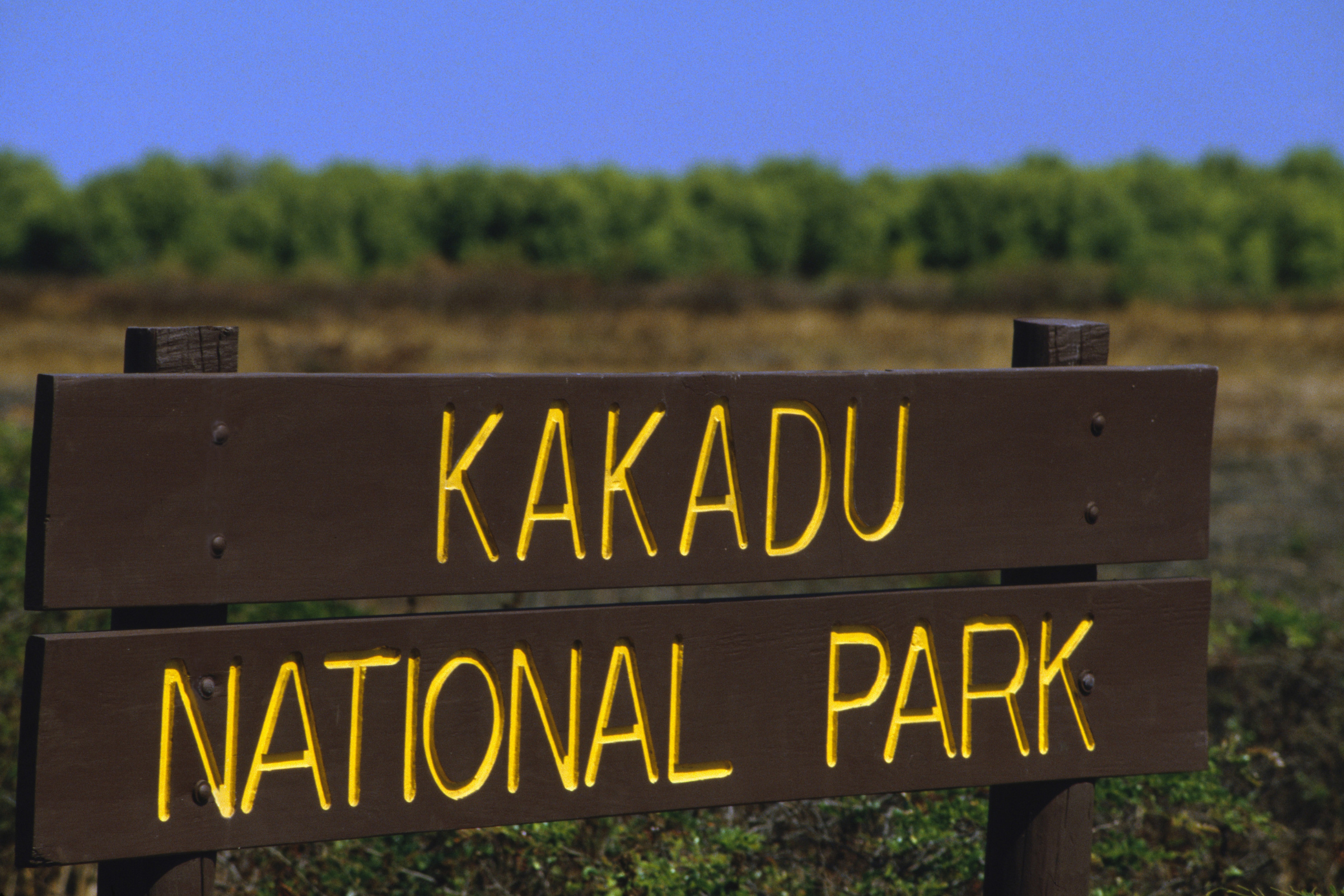 kakadu national park, northern territory (3).webp